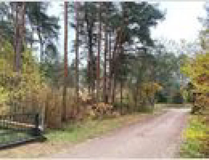 Land-/Forstwirtschaft 2 K 72-24 Nachtigallenweg 39, 14822 Borkheide