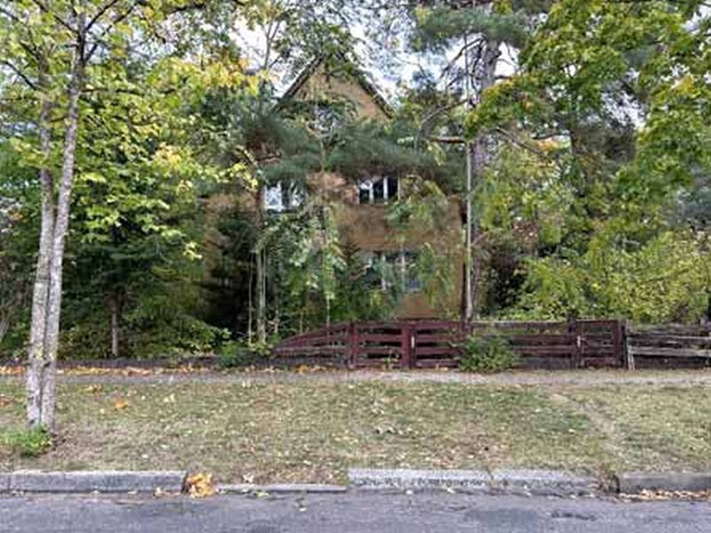 Grundstück in Hermann-Maaß-Straße 41, 14482 Potsdam - Babelsberg - Bild 3