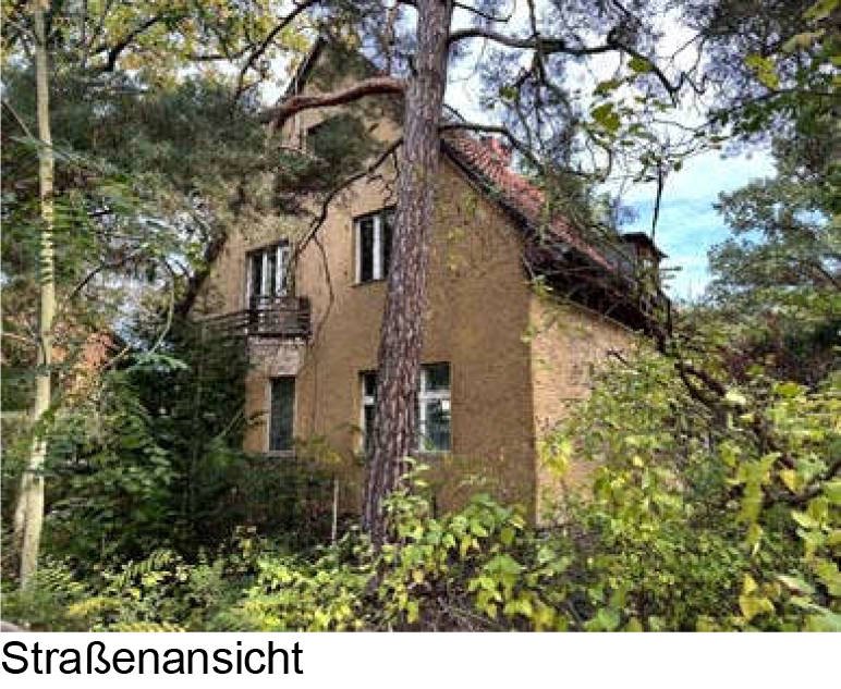 Grundstück in Hermann-Maaß-Straße 41, 14482 Potsdam - Babelsberg - Bild 5