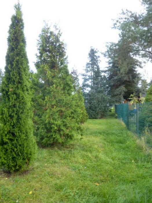 Sonstiges, bebaute Grünfläche im Außenbereich in Lindenweg 16, 14669 Ketzin/Havel OT Falkenrehde - Bild 3