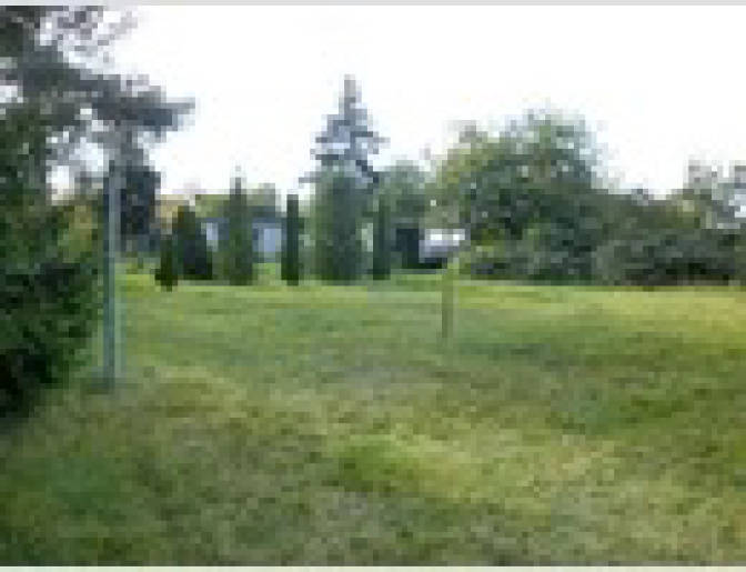 Sonstiges, bebaute Grünfläche im Außenbereich in Lindenweg 16, 14669 Ketzin/Havel OT Falkenrehde - Bild 4