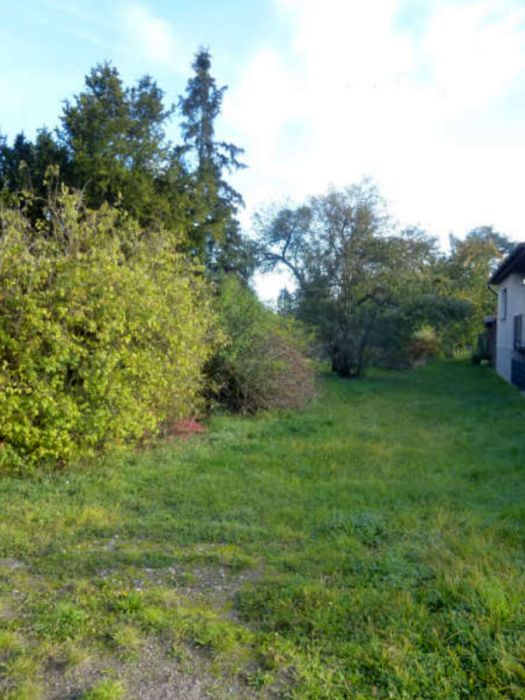 Einfamilienhaus in Lindenweg 16, 14669 Ketzin/Havel OT Falkenrehde - Bild 4