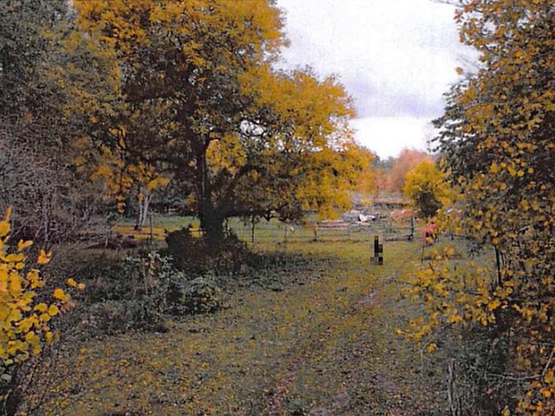 Grundstück in Ringstraße, 14612 Falkensee - Bild 3