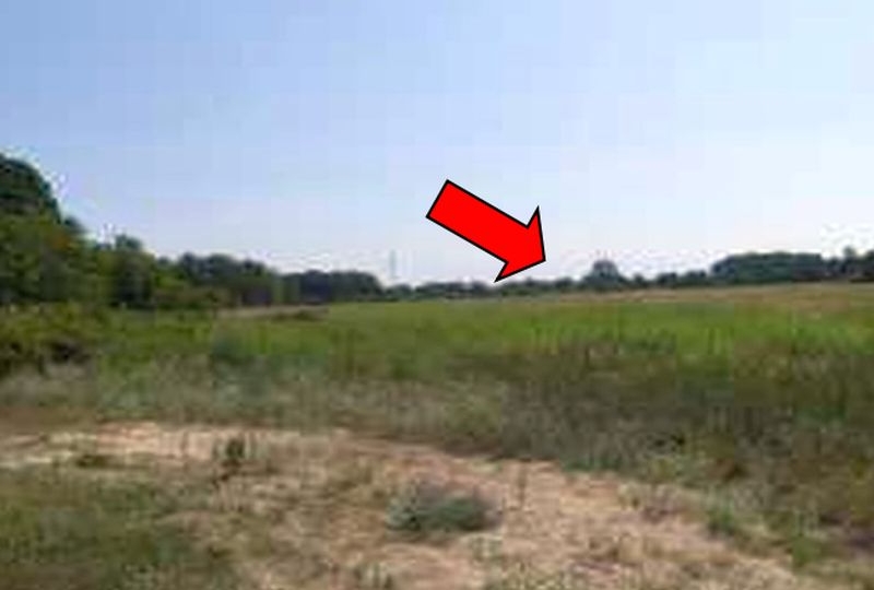 Land-/Forstwirtschaft in Teufelsbruch-Wiesen, 14621 Schönwalde/Dorf