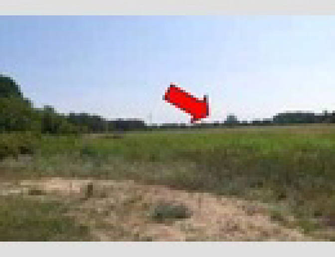 Land-/Forstwirtschaft in Teufelsbruch-Wiesen, 14621 Schönwalde/Dorf - Bild 3