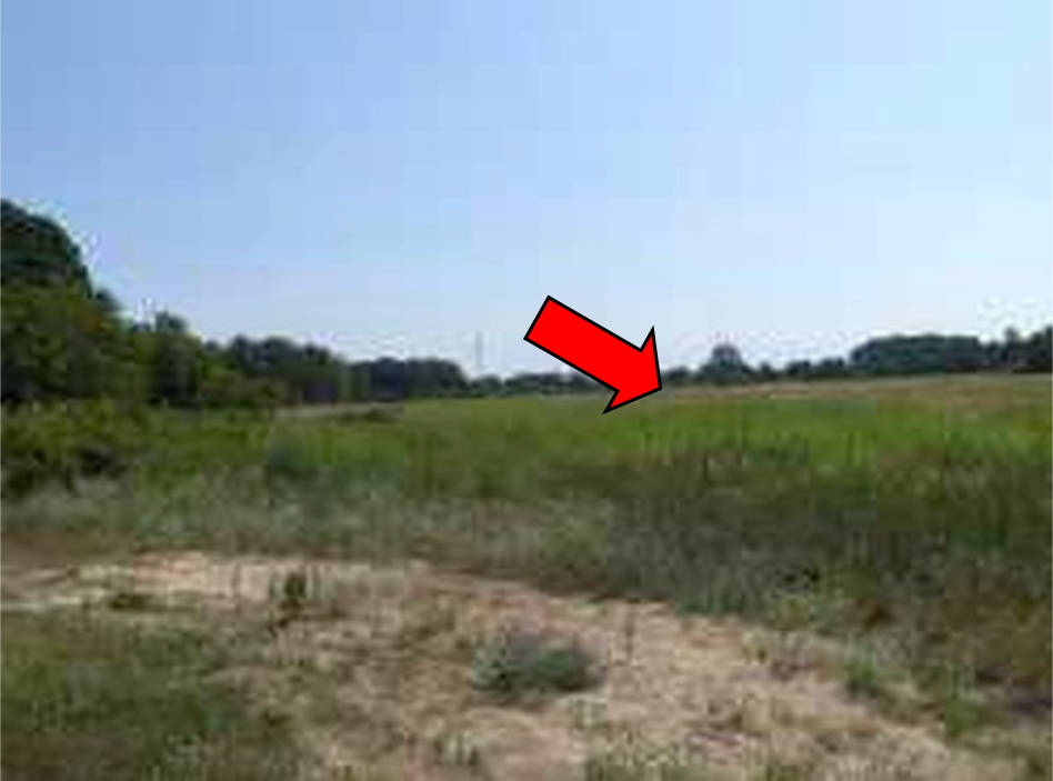 Land-/Forstwirtschaft in Teufelsbruch-Wiesen, 14621 Schönwalde/Dorf - Bild 4