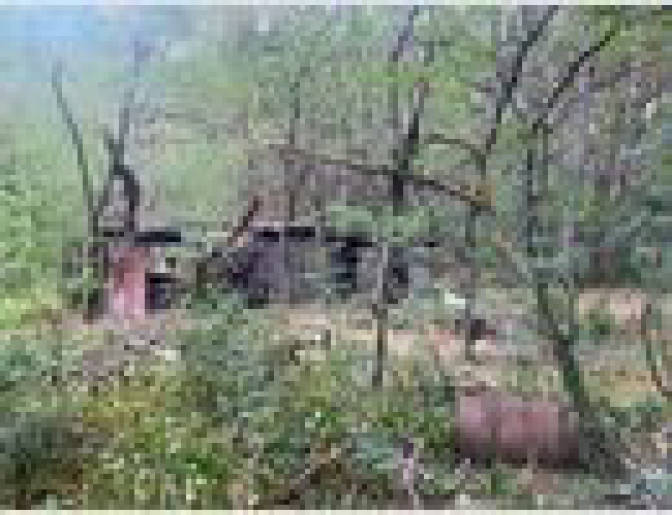 Sonstiges, Erholungsgrundstück in Birkenallee 22, 15837 Baruth/Mark OT Radeland - Bild 2