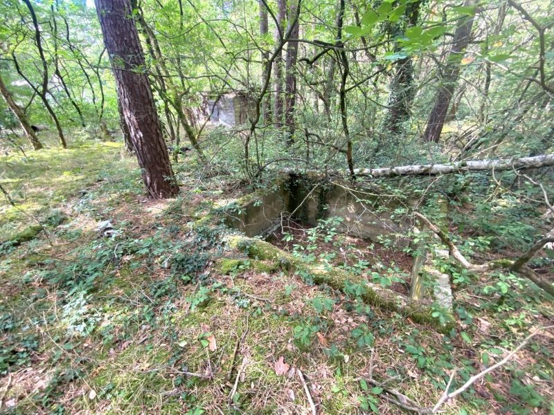 Sonstiges, Erholungsgrundstück in Birkenallee 22, 15837 Baruth/Mark OT Radeland - Bild 3