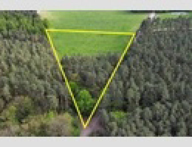 Land-/Forstwirtschaft in , 14552 Michendorf OT Langerwisch - Bild 2