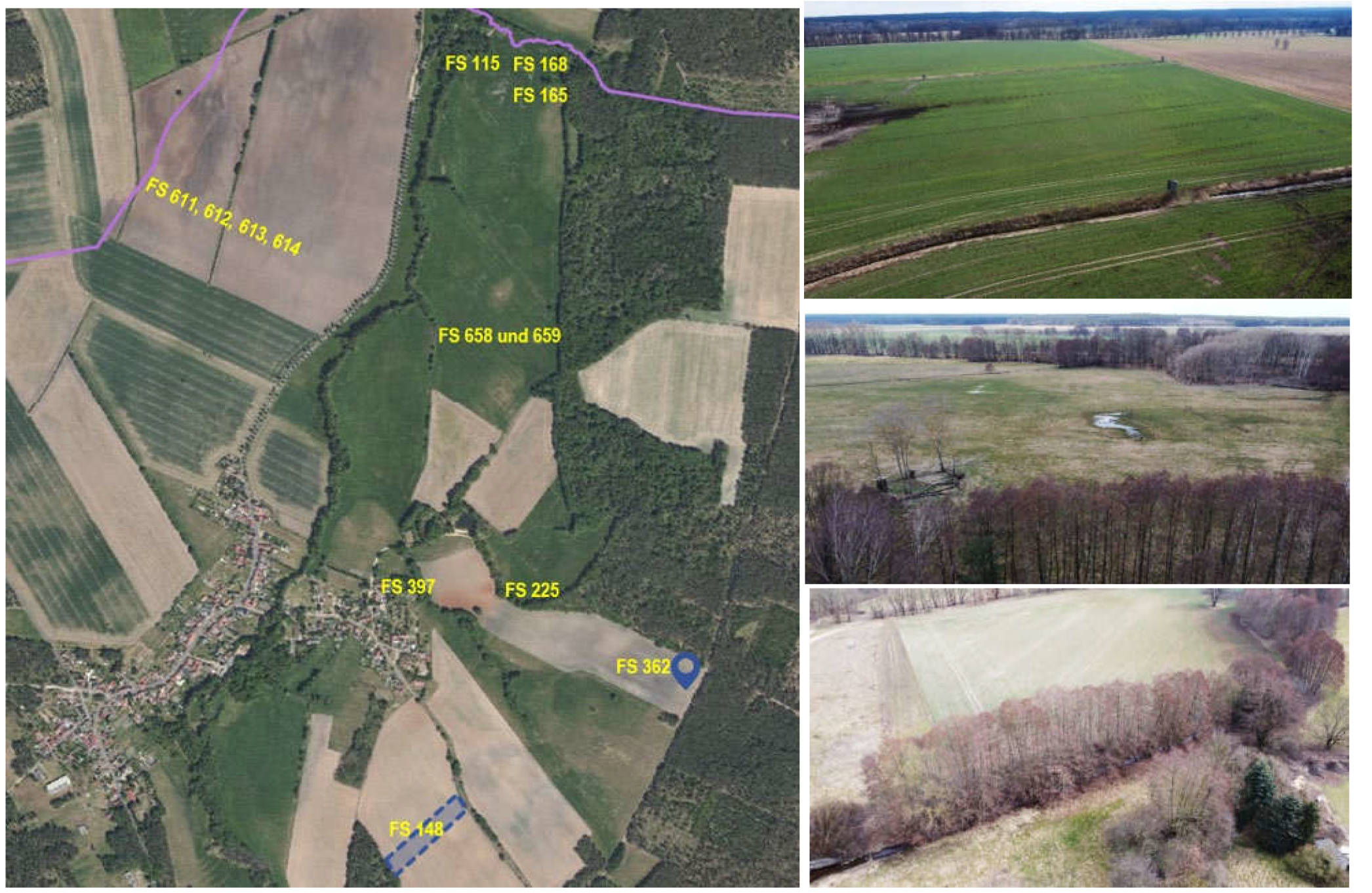 Land-/Forstwirtschaft in , 14793 Gräben - Bild 2