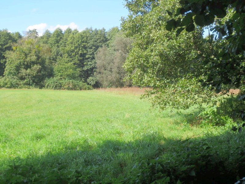 Land-/Forstwirtschaft in , 15345 Altlandsberg - Bild 4