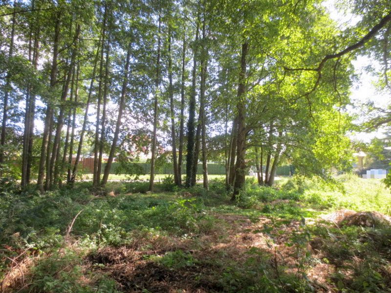 Land-/Forstwirtschaft in , 15345 Altlandsberg - Bild 3