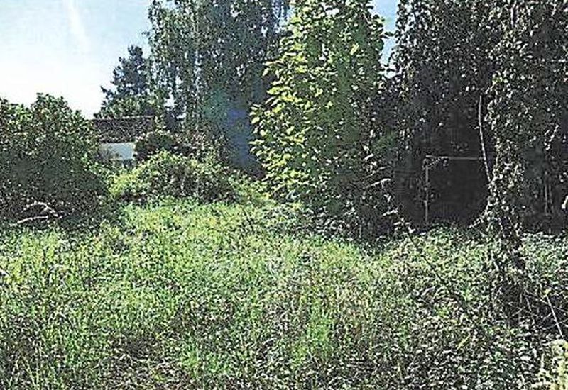 brandenburg 3 K 10/25 Kreuzberge 1, 15848 Rietz-Neuendorf OT Groß Rietz 6