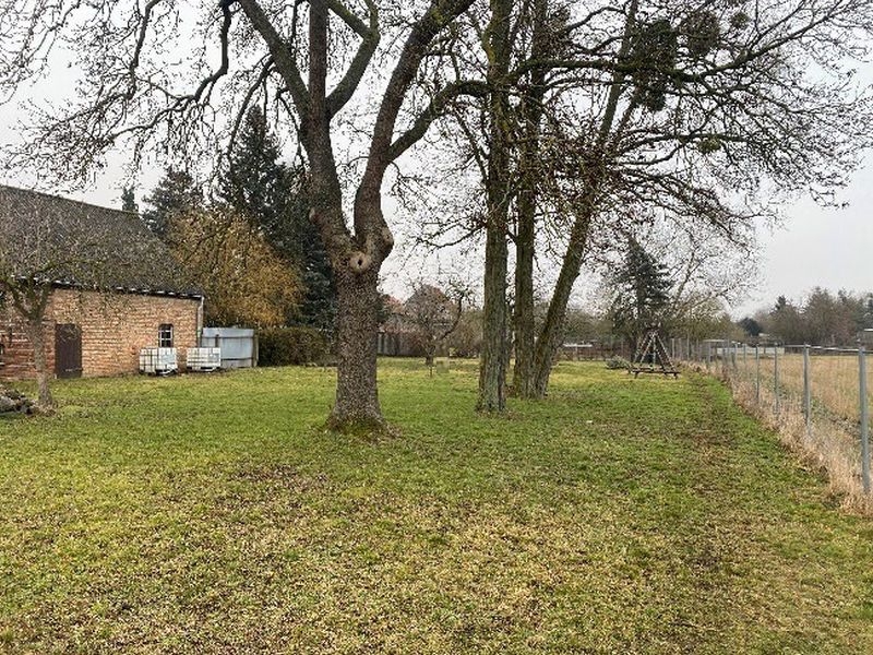 Einfamilienhaus in Karl-Marx-Straße 21, 15320 Neutrebbin - Bild 4