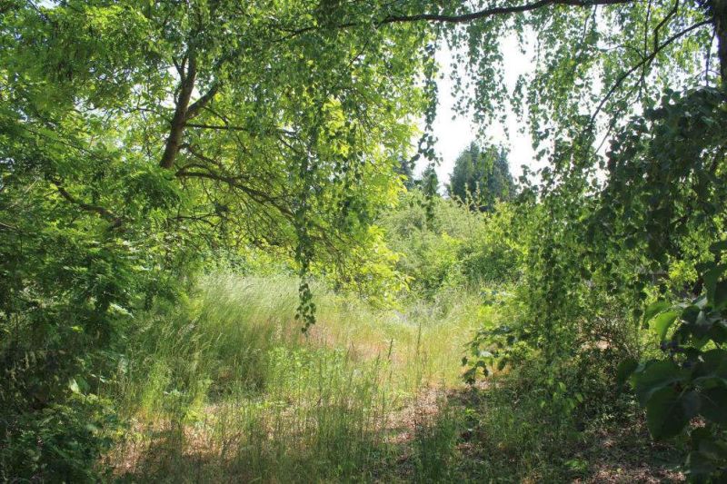 Grundstück in Petershagener Chaussee 41, 15345 Petershagen/Eggersdorf - Bild 5