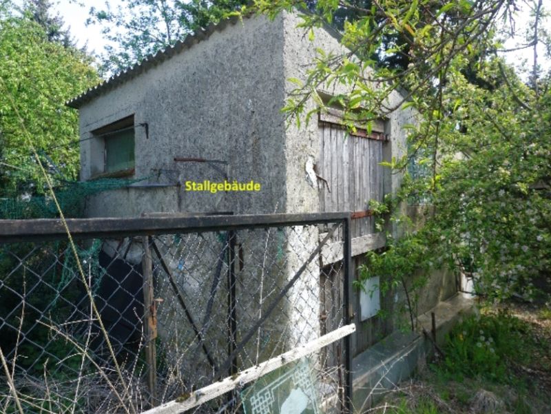 Einfamilienhaus in Bredowstraße 4, 15345 Altlandsberg - Bild 4