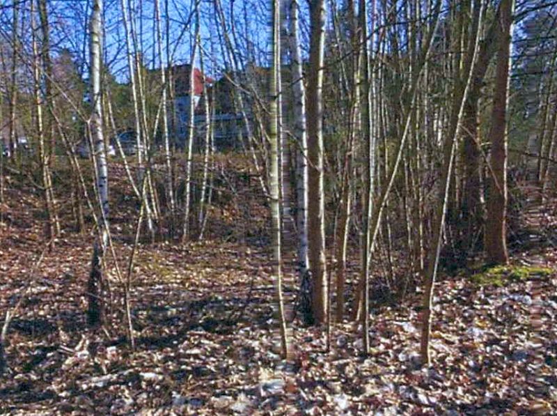 Grundstück in Radlow Dorf (ohne HNr.), 15864 Diensdorf-Radlow - Bild 3