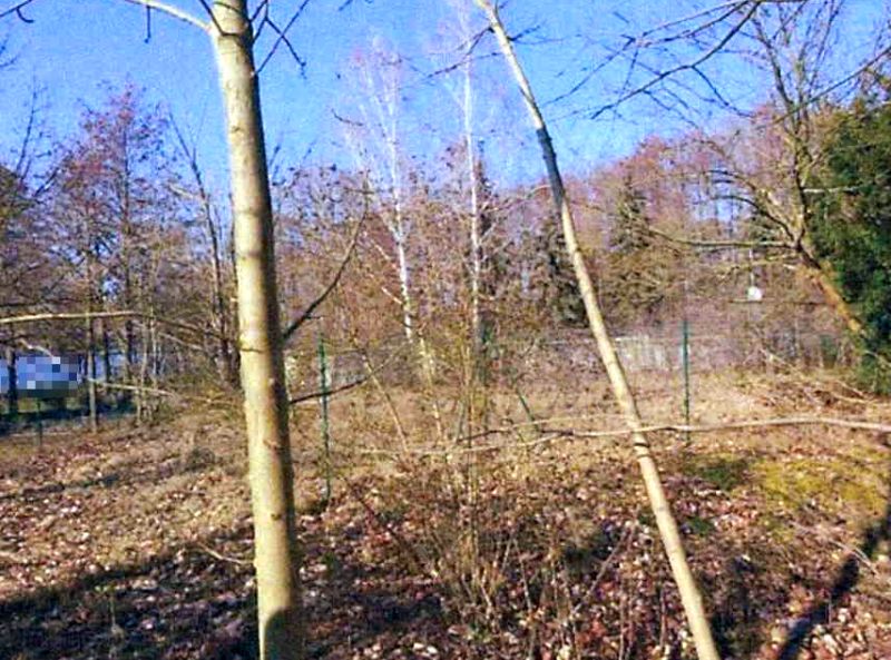 Grundstück in Radlow Dorf (ohne HNr.), 15864 Diensdorf-Radlow - Bild 2