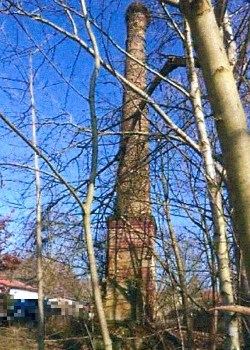 Grundstück in Radlow Dorf (ohne HNr.), 15864 Diensdorf-Radlow