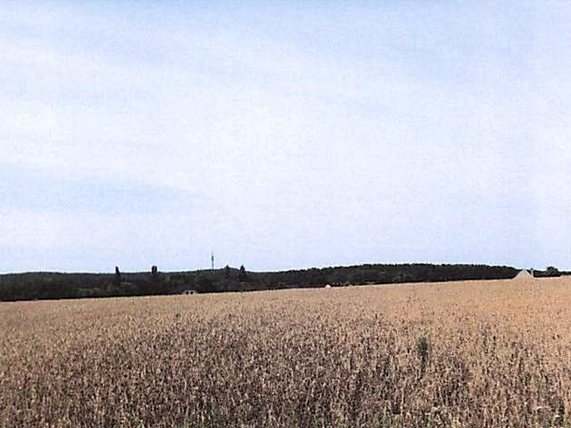 brandenburg 3 K 18-24 Birkenring 19, 15890 Eisenhüttenstadt OT Diehlo