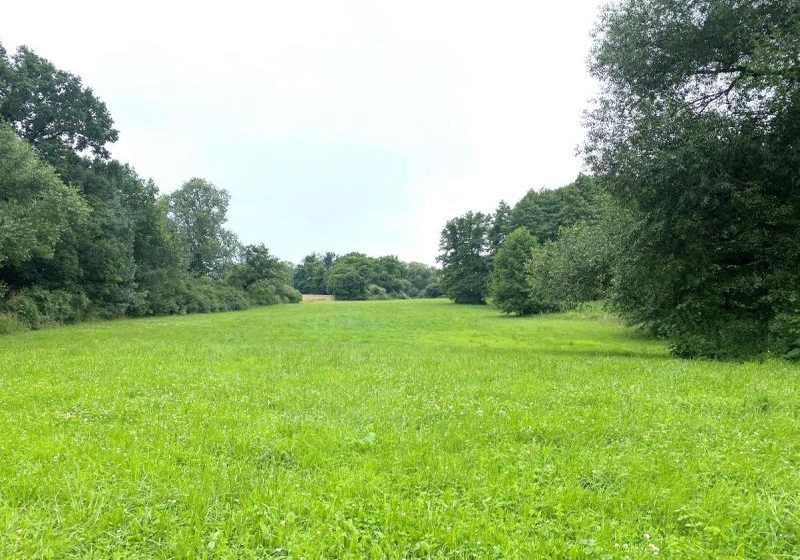 brandenburg 3 K 20-24 Dorfstraße 24, 15345 Garzau-Garzin OT Garzin