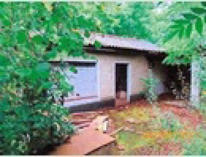 Grundstück in Alte Petersdorfer Straße, 15517 Fürstenwalde/Spree - Bild 2