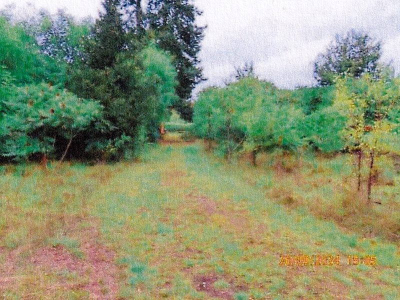 brandenburg 3 K 24/24 Alte Petersdorfer Straße, 15517 Fürstenwalde/Spree 6