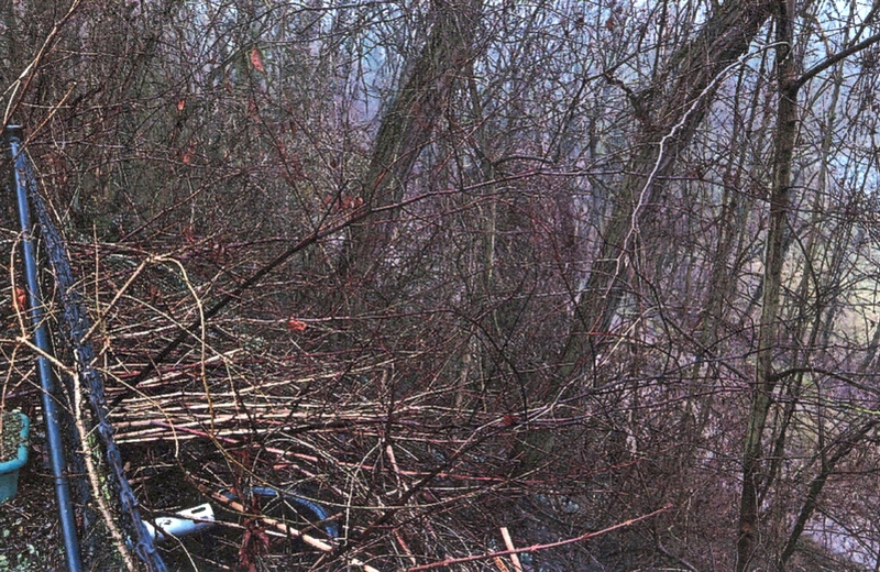 brandenburg 3 K 3/23 Lindenstraße 27, 15326 Lebus 10