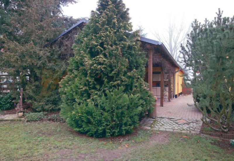 Einfamilienhaus in Ernst-Senckel-Weg 49, 15234 Frankfurt (Oder) OT Hohenwalde - Bild 5