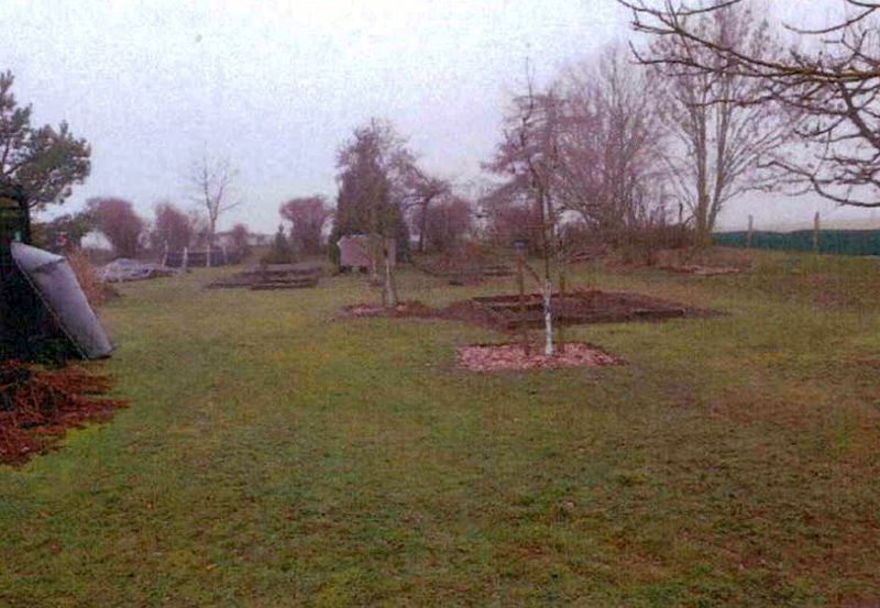 Einfamilienhaus in Ernst-Senckel-Weg 49, 15234 Frankfurt (Oder) OT Hohenwalde - Bild 3