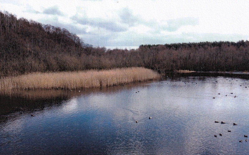 Grundstück in , 15518 Briesen (Mark) OT Kersdorf - Bild 4