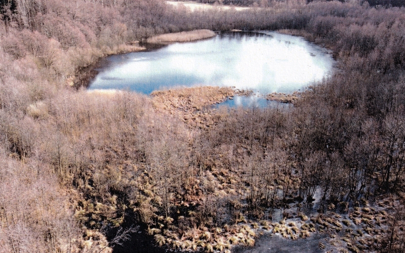 Grundstück in , 15518 Briesen (Mark) OT Kersdorf - Bild 2