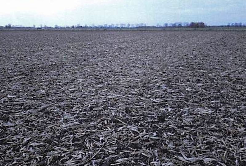 Land-/Forstwirtschaft in , 15328 Alt Tucheband - Bild 2