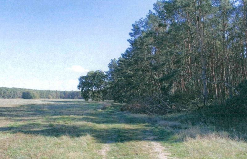 Land-/Forstwirtschaft in , 15528 Spreenhagen OT Markgrafpieske