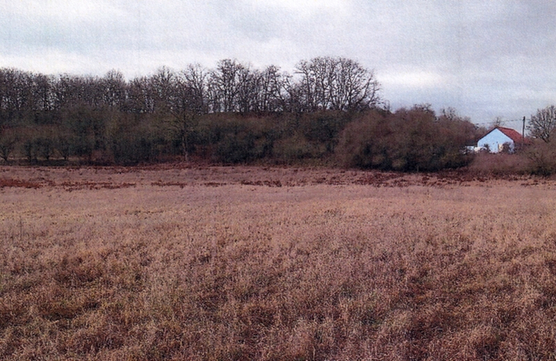 Land-/Forstwirtschaft 3 K 47-23 , 15326 Lebus