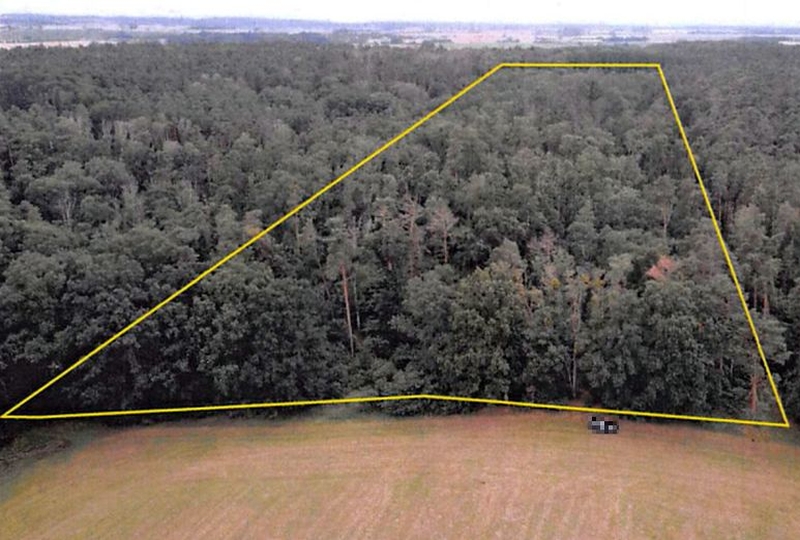brandenburg 3 K 50-24 , 15320 Neuhardenberg OT Altfriedland