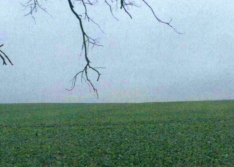 Land-/Forstwirtschaft in Altes Vorwerk, 15518 Steinhöfel - Bild 3