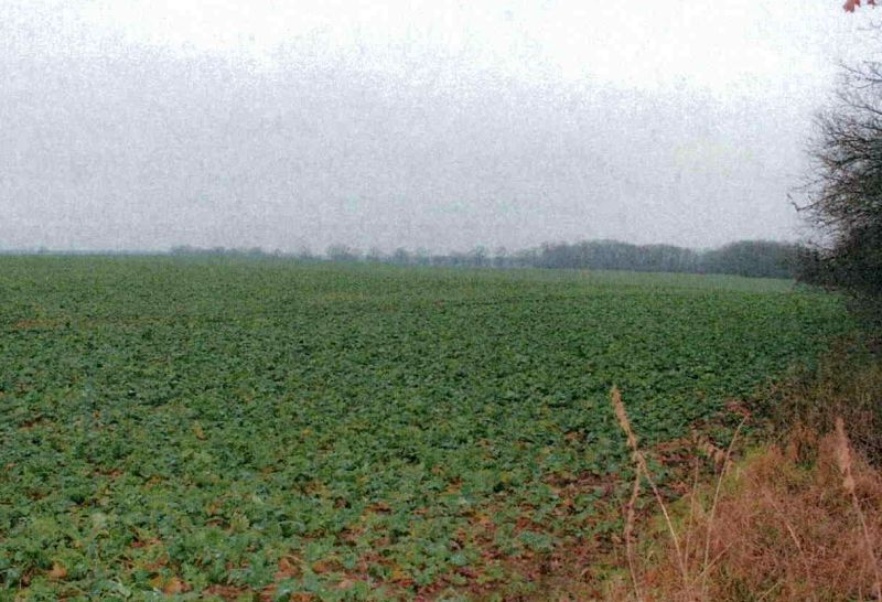 Land-/Forstwirtschaft in Altes Vorwerk, 15518 Steinhöfel - Bild 2