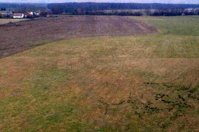 Land-/Forstwirtschaft in , 15518 Steinhöfel