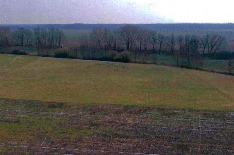 Land-/Forstwirtschaft in , 15518 Steinhöfel - Bild 2