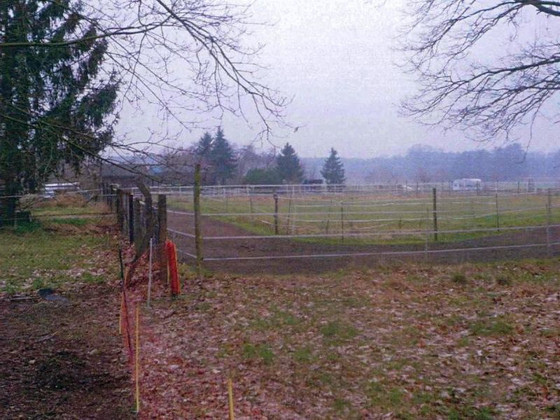 Wohnhaus/Landwirtschaftsflächen in Langendamm 26, 15528 Spreenhagen OT Markgrafpieske - Bild 5