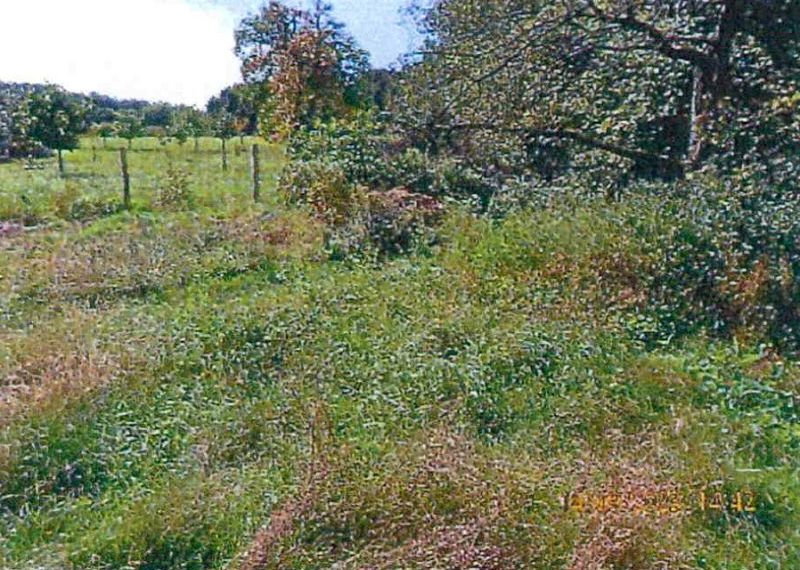 Einfamilienhaus in Am Springberg 13, 15898 Neuzelle OT Kobbeln - Bild 3