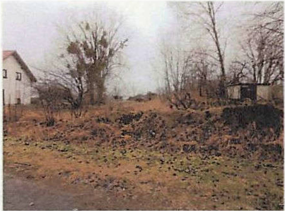 Grundstück in Am Anger, 15345 Altlandsberg OT Wilkendorf - Bild 3
