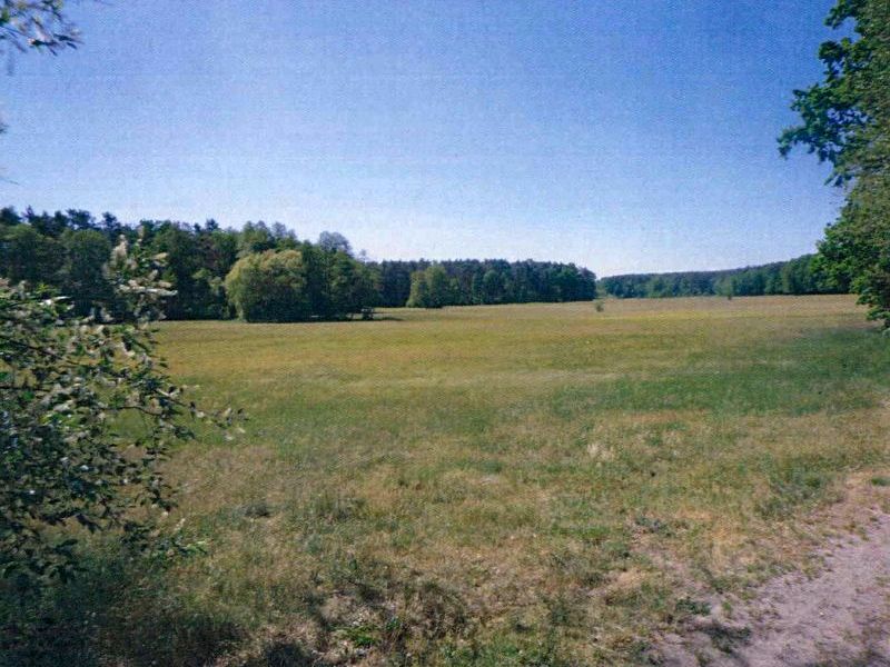 An der Saarower Chaussee, 15526 Bad Saarow OT Petersdorf