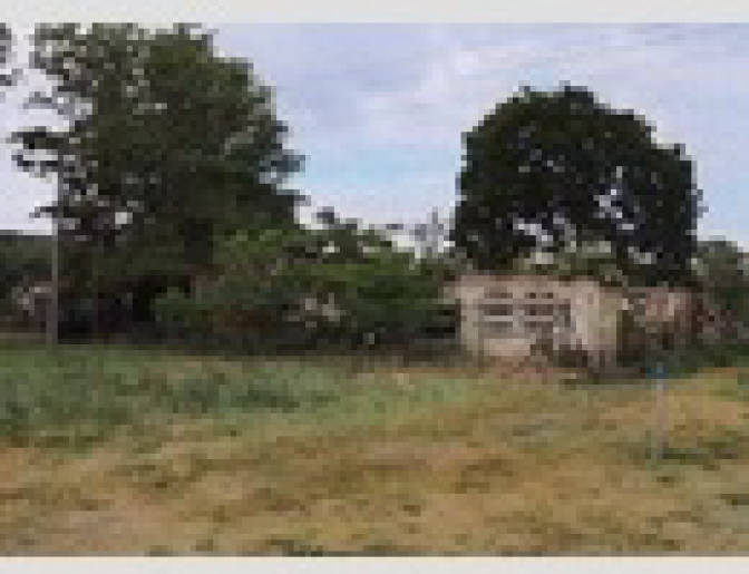 Grundstück in Fischerstraße 15, 15328 Reitwein - Bild 3