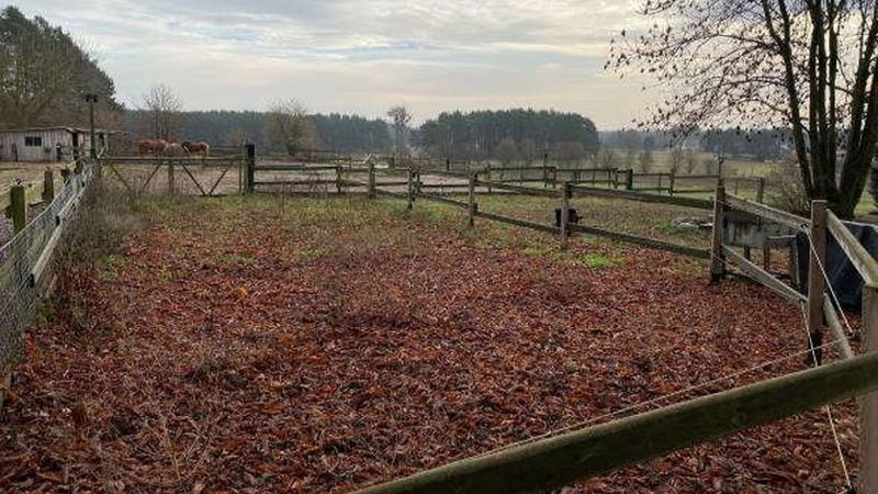 brandenburg 3 K 97-22 Prenzlauer Straße 14, 13a, 13b, 16244 Schorfheide OT Groß Schönebeck