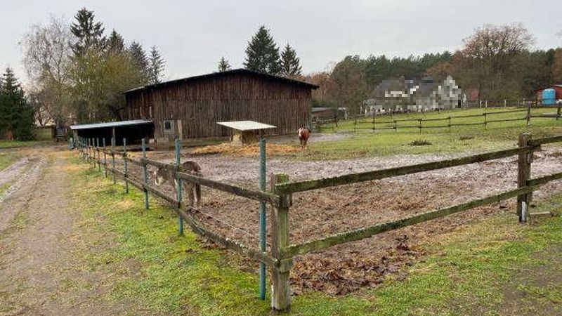 brandenburg 3 K 97-22 Prenzlauer Straße 14, 13a, 13b, 16244 Schorfheide OT Groß Schönebeck
