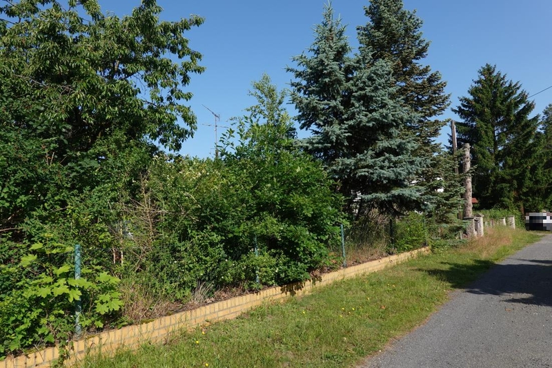 Einfamilienhaus in Am Wiesengrund 3, 01979 Lauchhammer OT Kostebrau - Bild 4