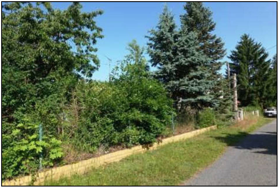 Einfamilienhaus in Am Wiesengrund 3, 01979 Lauchhammer OT Kostebrau - Bild 5