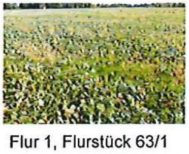 brandenburg 42 K 22/25 , 01990 Großkmehlen OT Kleinkmehlen 5